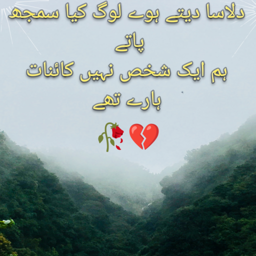 Dilasa Dety Huwe Log Kia Samijh Paty – Sad Urdu Poetry