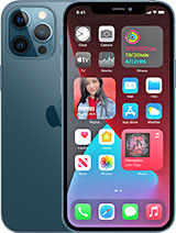 Apple iPhone 12 Pro Max 